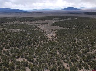 16511 Bull Elk Trl, San Luis, CO 81152