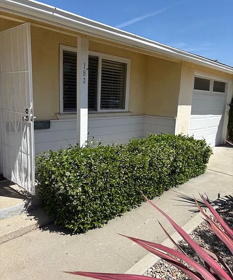 183 E Dana St — Photo 3