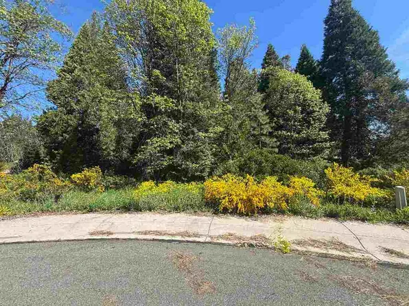46 Panther Ct, McCloud, CA 96057