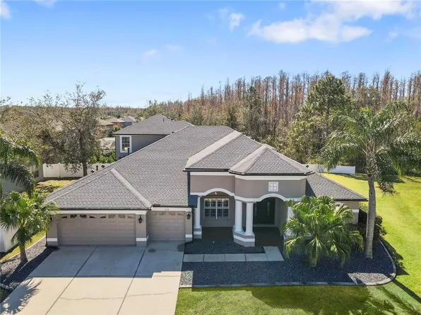 31716 Baymont Loop, Wesley Chapel, FL 33543