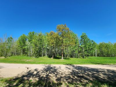 Bear Path NE, Longville, MN, 56655