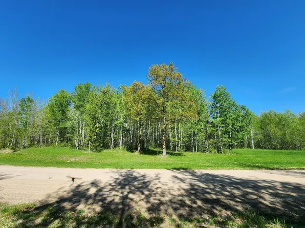 Bear Path NE, Longville, MN 56655