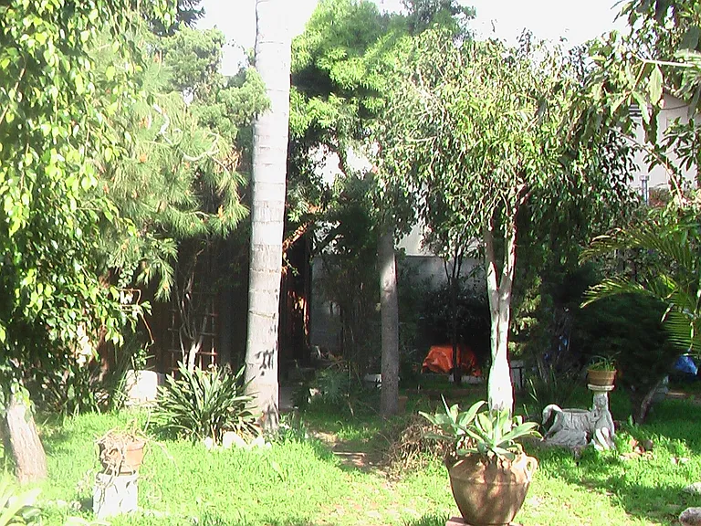 fenced backyard