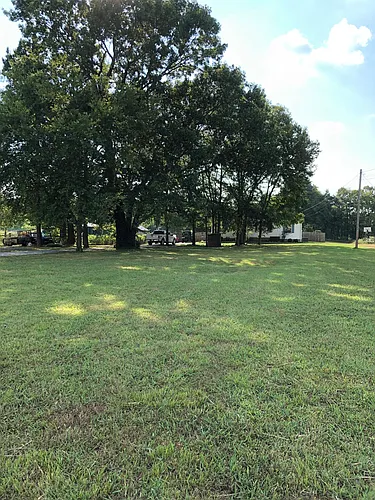 1009 Dellrose Dr Photo 1