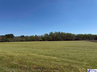 Dennis Rd, Hemingway, SC 29554