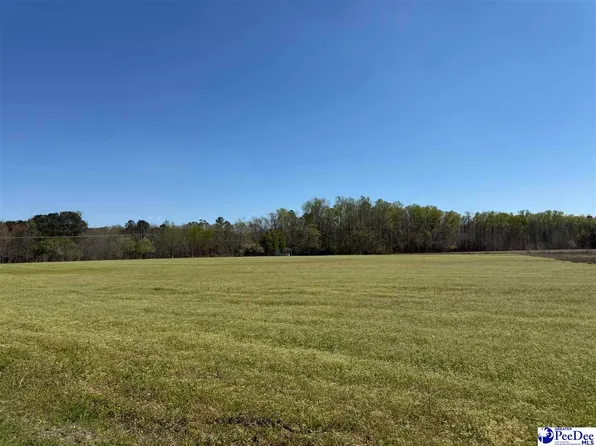 Dennis Rd, Hemingway, SC 29554