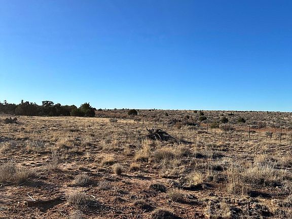 4th image of 3893 Trebil Blvd