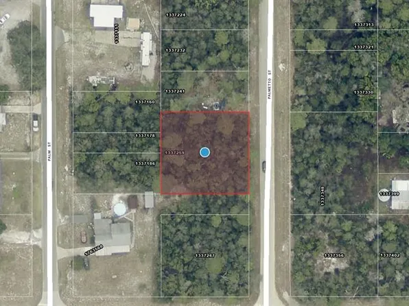 Palmetto St Lot 42, Paisley, FL 32767