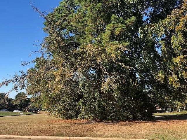 1st image of 27 Briarwood Cir