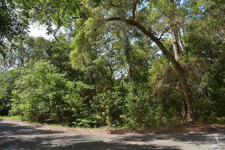 1st image of 2010 Palmetto Cove (L-10) LOT 10