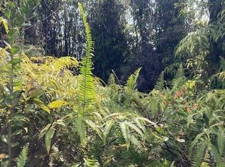 Road 7 Opeapea LOT 4832, Kurtistown, HI 96760