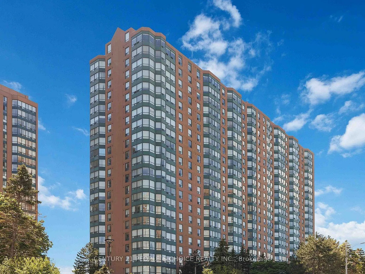 3 bed, $2,650 — Photo 2