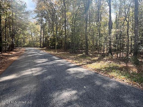 3rd image of 0 Pelahatchie Rd