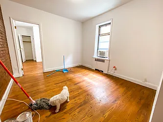 Rented by Voro New York