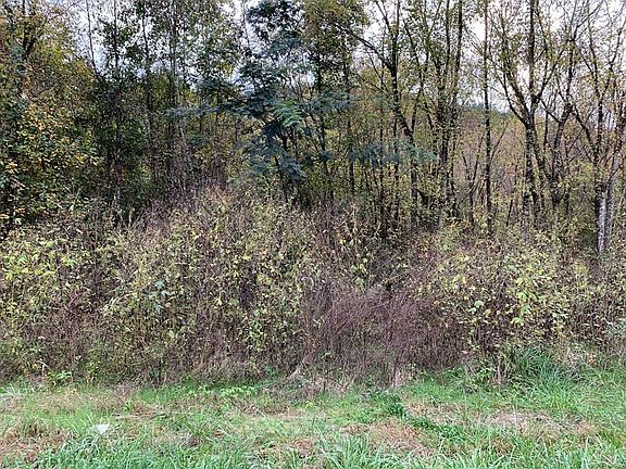 5th image of 0 Woods Hollow Rd