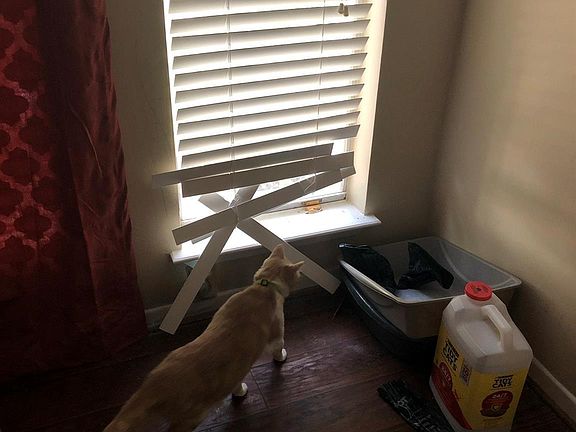 4th image of 3309 Golden Trails Dr APT 402