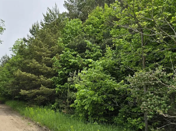 LOT 25 Hagni Rd NE, Kalkaska, MI 49646