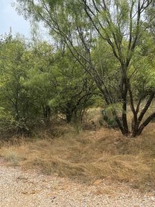 201 NE 9th St, Mineral Wells, TX, 76067