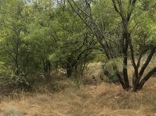 201 NE 9th St, Mineral Wells, TX 76067