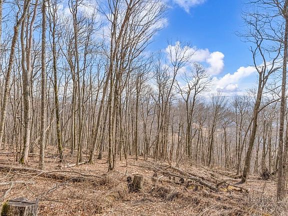 3rd image of Lot 86 Elk Mountain Parkway