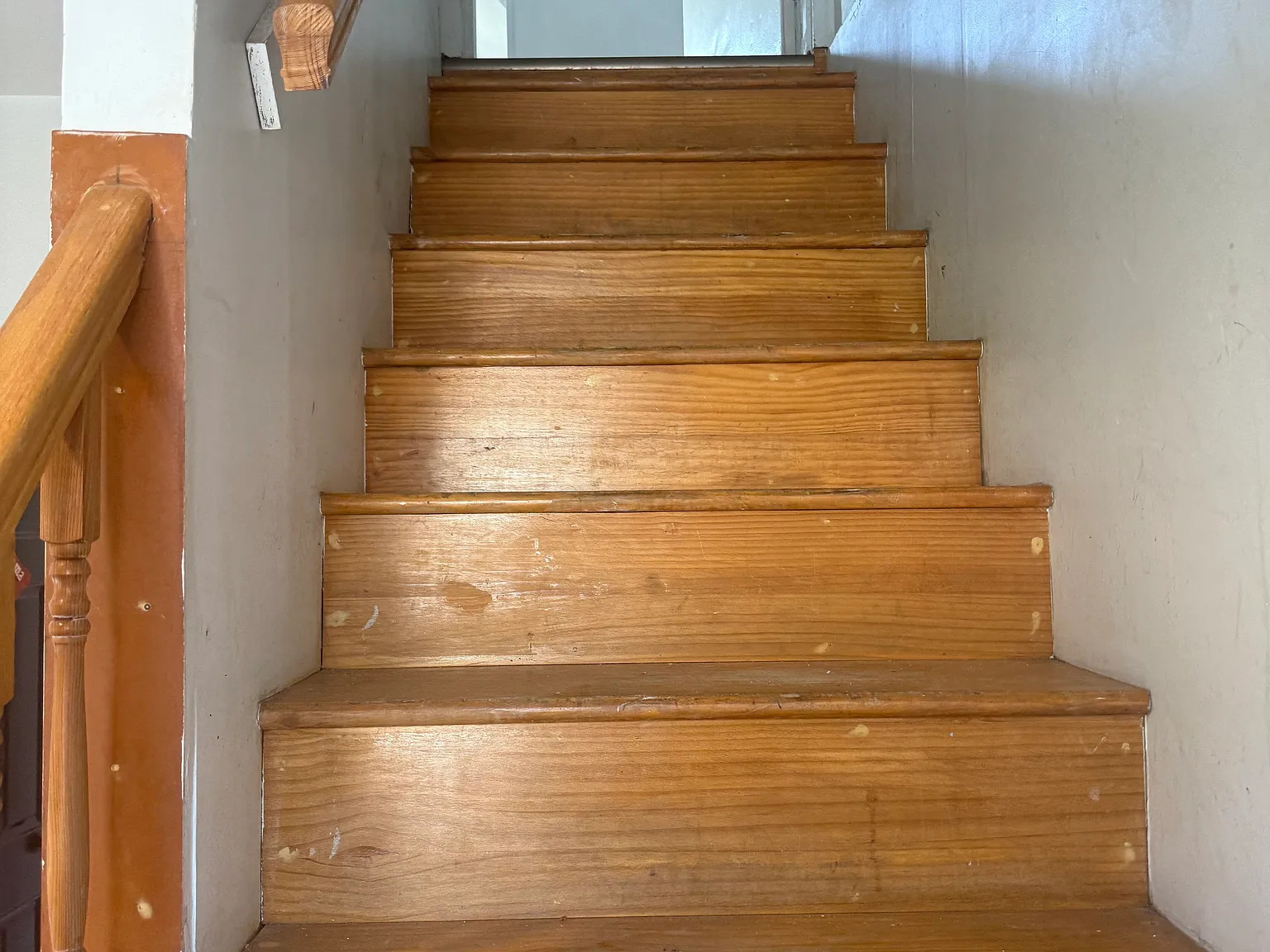 1 bed, $1,300 — Photo 2