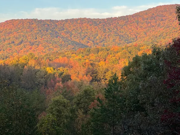 144 Horse Range Pl #100, Cleveland, GA 30528