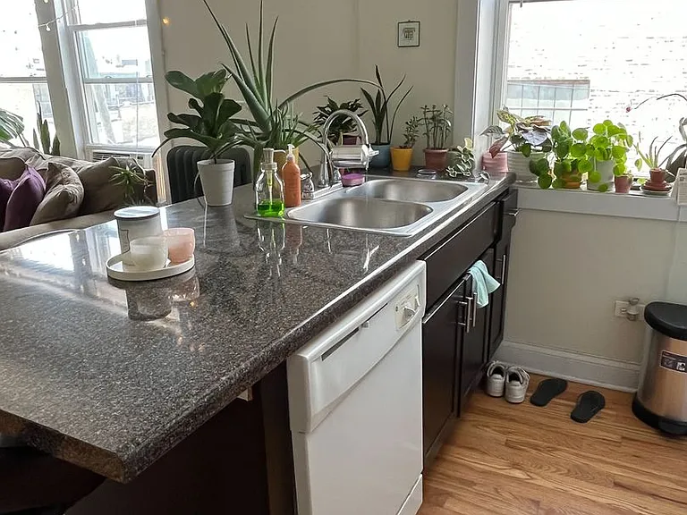 Whipple — Photo 8