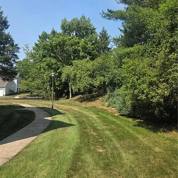 11 Chadwick Ln #11C — Photo 4