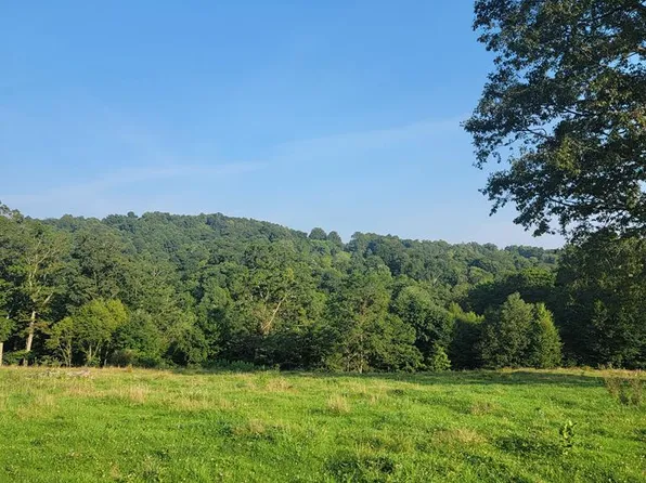 0 Quinwood Nutterville Rd, Nallen, WV 26680