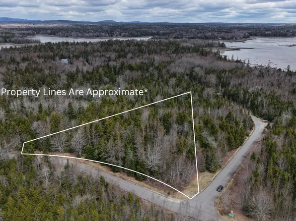 M24 L9B-10 Merganser Drive, Gouldsboro, ME 04607