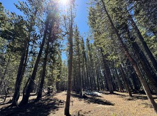 342 Eva Rd, Idaho Springs, CO 80452