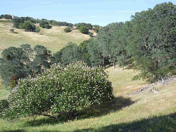 4th image of 0 Bragdon Way
