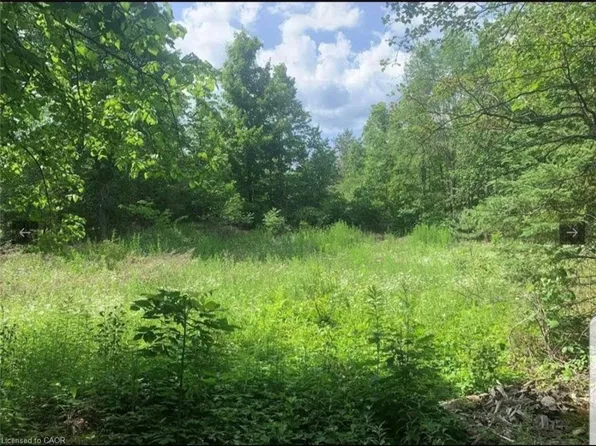 LOT 12 Suter Dr, Kawartha Lakes, ON K0M 2B0