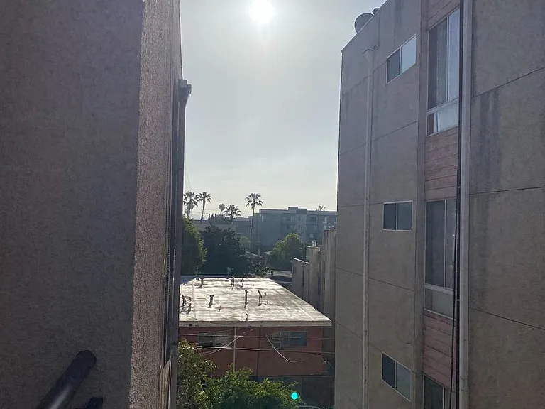 1234 Las Palmas Ave — Photo 8