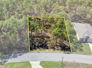 12 Whitewood Ct, Homosassa, FL 34446