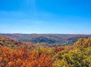 19024 Old Wild Turkey Ln, Pacific, MO 63069