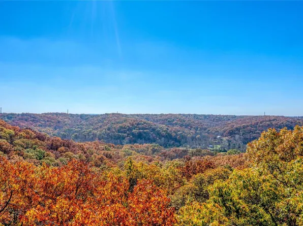 19024 Old Wild Turkey Ln, Pacific, MO 63069