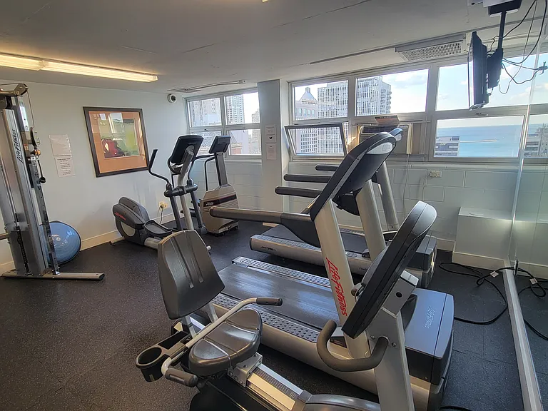 222 E Pearson St #1407 — Photo 23