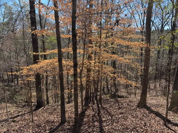 0 Highway 14 W, Selma, AL 36703