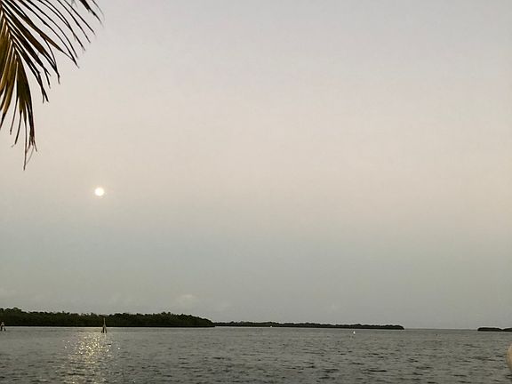 3rd image of 999 Morris Avenue -manatee Cove Of Key Largo #6-01