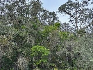 1st image of 447 Trafalgar Ln Lot 16