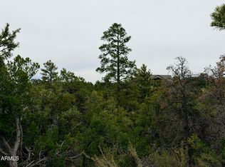 4918 SUNSET RIDGE Loop #199, Happy Jack, AZ 86024