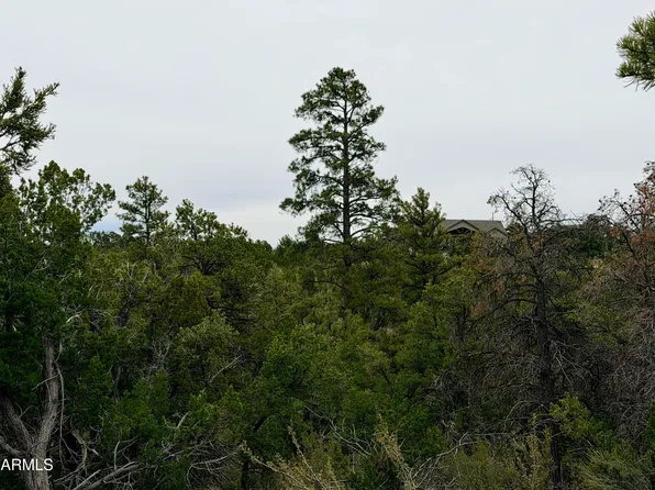 4918 SUNSET RIDGE Loop #199, Happy Jack, AZ 86024