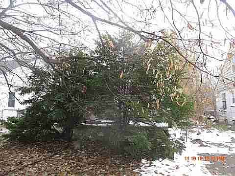 17489 MACKAY