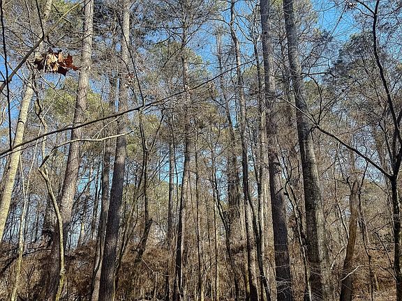 Compass South Land Sales Arkansas Fountain Creek 39