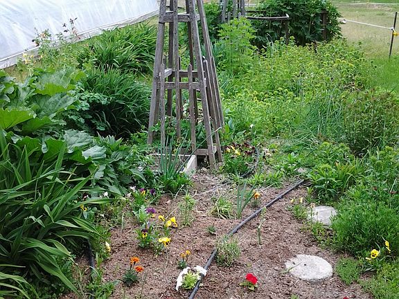 Part of flower garden