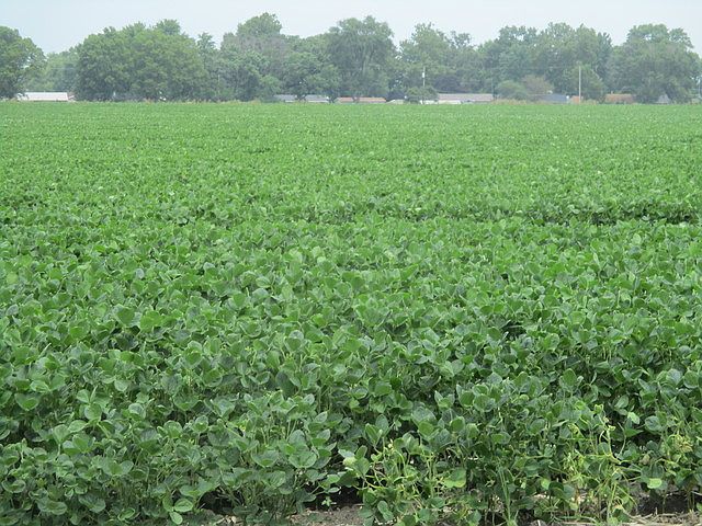 1st image of 17815 N Cr 2000 E Rd