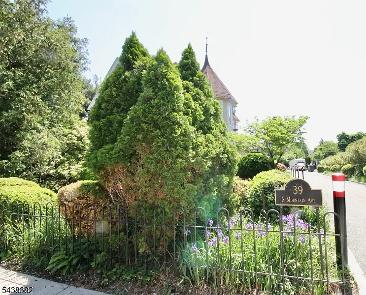 1 bed, $2,300 — Photo 2