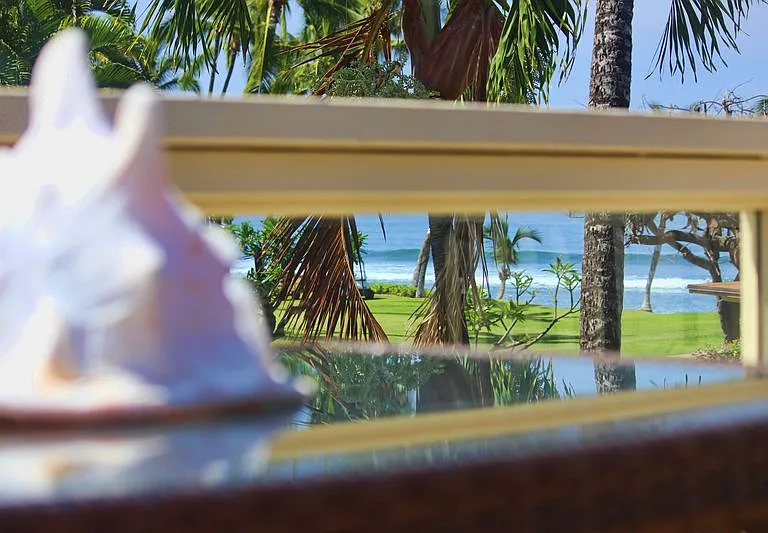185 Pualei Dr #3 — Photo 30