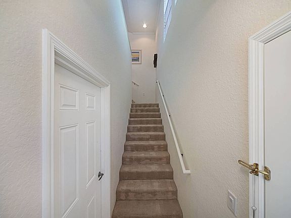 Entrance stairway to living area